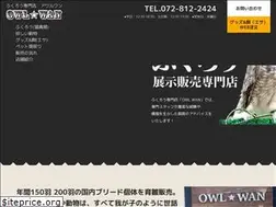Sites similar to owl-wan.com