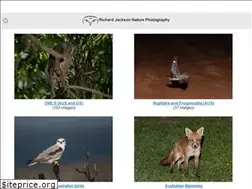 Sites similar to owlphotographer.com