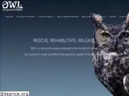 Sites similar to owlrehab.org
