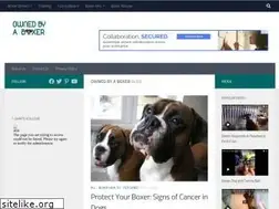 Sites similar to ownedbyaboxer.com