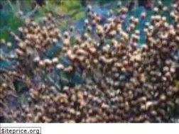 Sites similar to oxoniangardener.co.uk