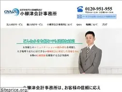 Sites similar to oyaizu-kaikei.com