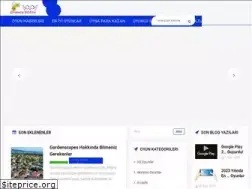 Sites similar to oyuncudostu.net