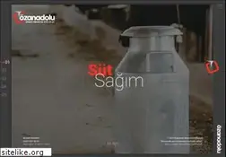 Sites similar to ozanadolu.com