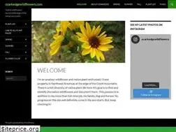 Sites similar to ozarkedgewildflowers.com