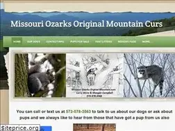 Sites similar to ozarksmtncurs.weebly.com