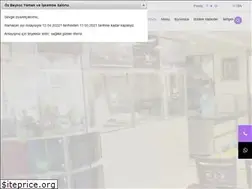 Sites similar to ozbeykoz.com