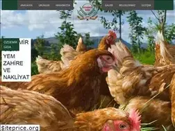 Sites similar to ozdemirgida.com.tr