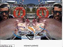 Sites similar to ozderkaptan.com
