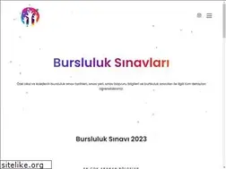 Sites similar to ozelbursluluksinavlari.com