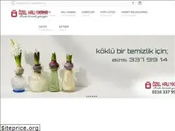 Sites similar to ozelhaliyikama.com