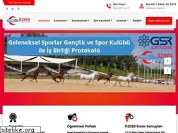 Sites similar to ozelogretim.org.tr