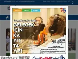 Sites similar to ozelsalihli.k12.tr