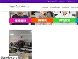 Sites similar to ozelsinkoleji.com