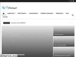 Sites similar to ozgecuhadaroglu.com