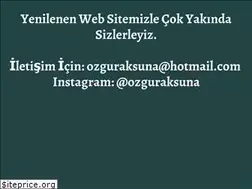 Sites similar to ozguraksuna.com