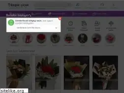 Sites similar to ozgurcicek.net