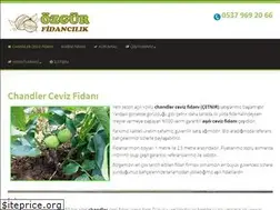 Sites similar to ozgurfidancilik.com