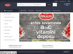 Sites similar to ozkaleligida.com