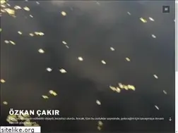 Sites similar to ozkancakir.com.tr