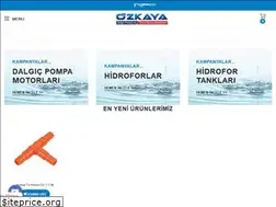 Sites similar to ozkayadalgicpompa.com
