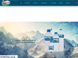 Sites similar to ozkaynak.com