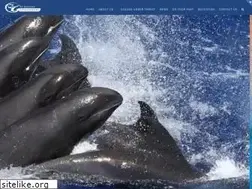 Sites similar to p1marinefoundation.com