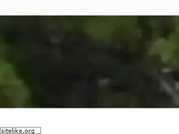 Sites similar to p2pmoving.com