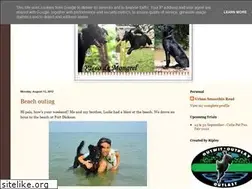 Sites similar to pacco.blogspot.com