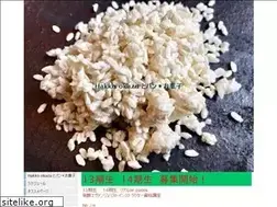 Sites similar to pace-ayumi.com