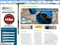 Sites similar to paceprocarpetcleaning.com