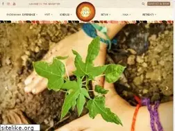 Sites similar to pachamama.com