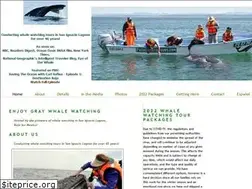 Sites similar to pachicosecotours.com