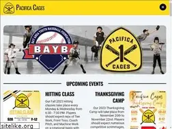 Sites similar to pacificacages.com