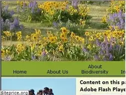 Sites similar to pacificbio.org