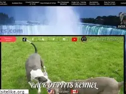 Sites similar to packofpitts.com