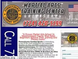Sites similar to pacombatsports.com