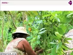 Sites similar to pactworld.org
