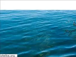 Sites similar to paddlewanaka.co.nz