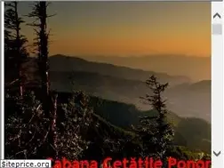Sites similar to padis.ro