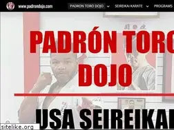 Sites similar to padrondojo.com