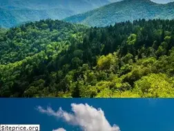 Sites similar to pageassociates.com