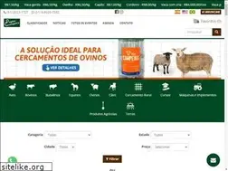 Sites similar to paginacampeira.com.br