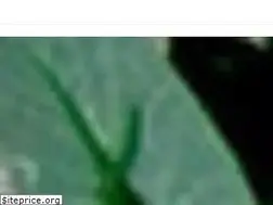 Sites similar to paima-beaute.com