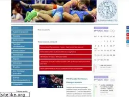 Sites similar to painiliitto.net