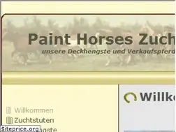 Sites similar to paint-horses-zucht-odenwald.de