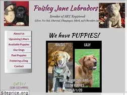 Sites similar to paisleyjanelabs.com