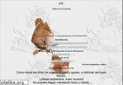 Sites similar to pajaricos.es