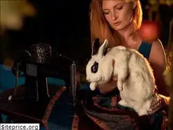 Sites similar to pajmon.com