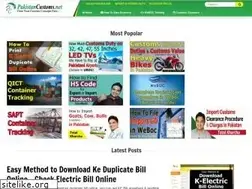 Sites similar to pakistancustoms.net